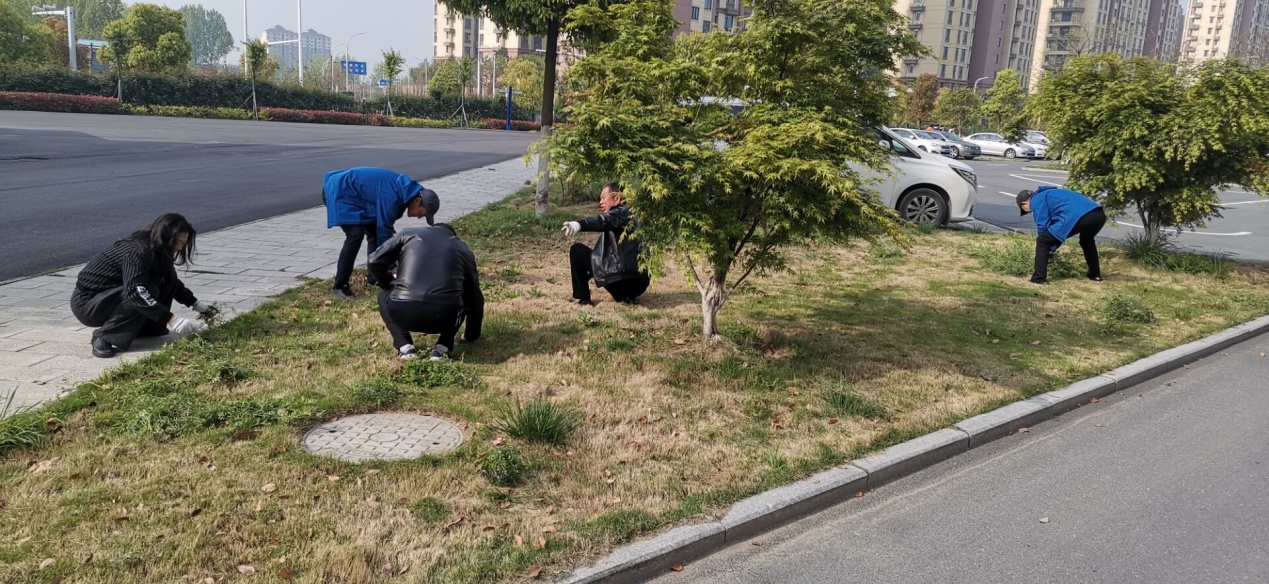 说明: E:\各类资料\爱国卫生运动\后勤中心对学院停车场杂草进行清除.jpg