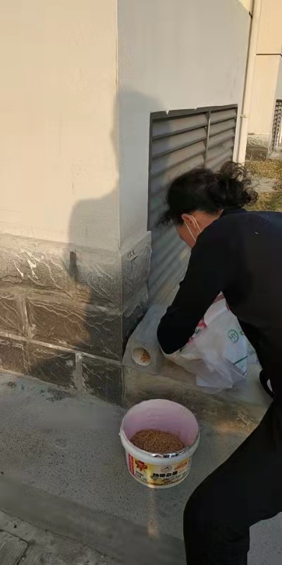 说明: E:\各类资料\2121.2.22灭鼠\mmexport1615962039822.jpg
